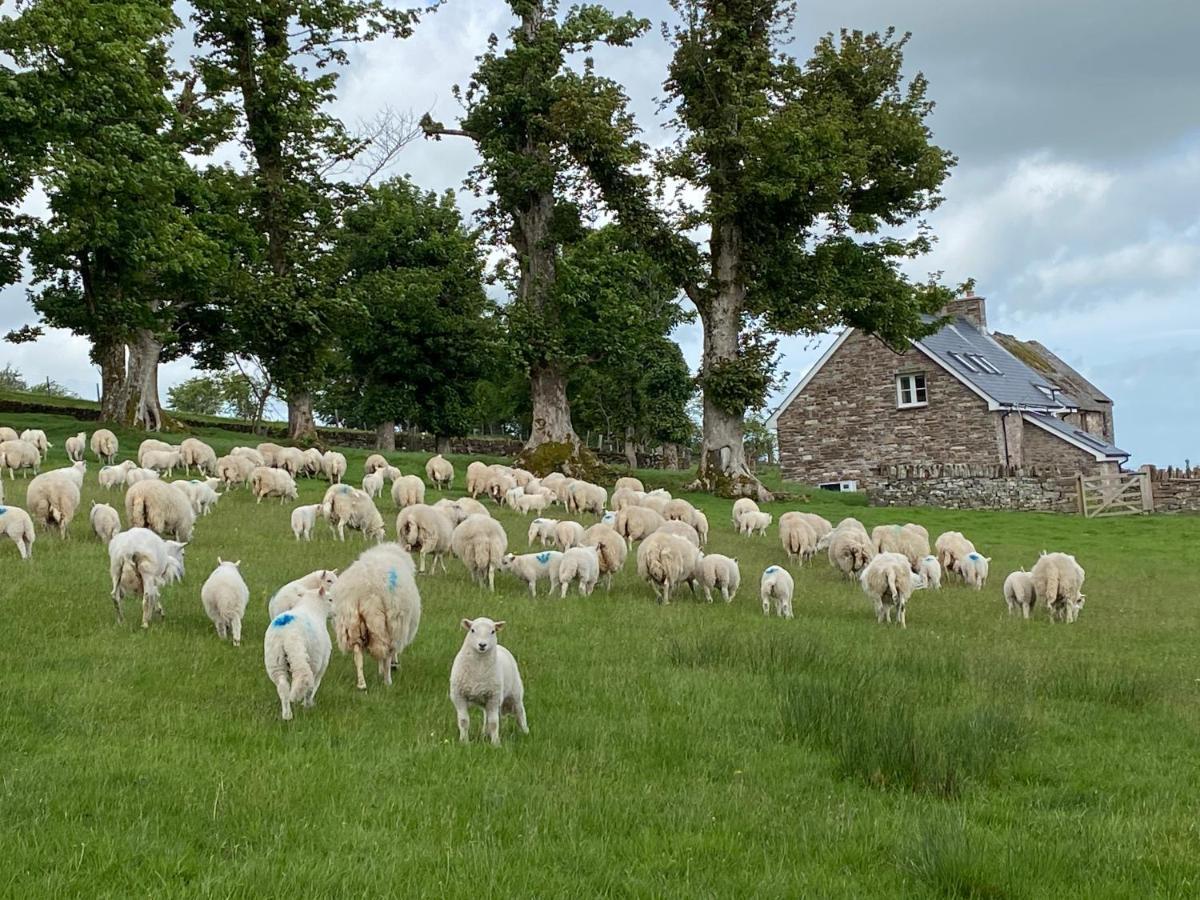 Pant Llwyd Farm Villa Llangynidr Exterior photo
